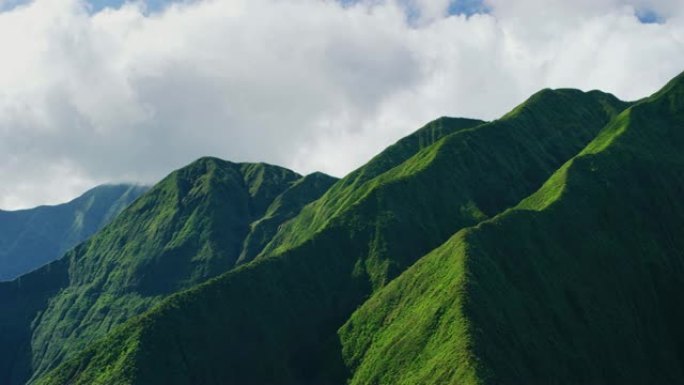 生命的开始青山