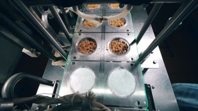 在食品工厂的自动化流水线上移动的装有干面包的容器。
