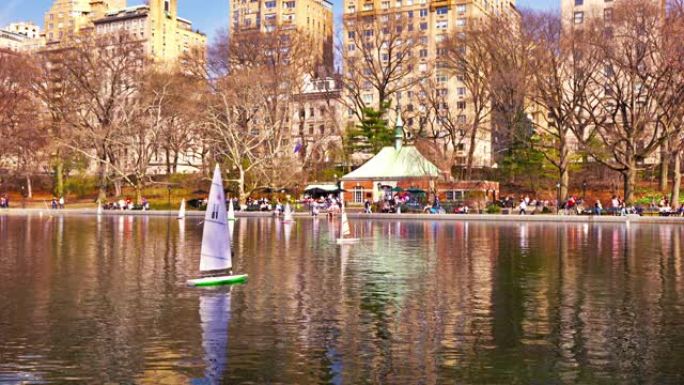 温室水。池塘。中央公园。鹦鹉螺