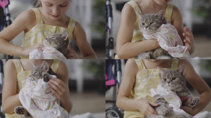 女孩给猫穿衣服小女孩猫穿衣服猫咪