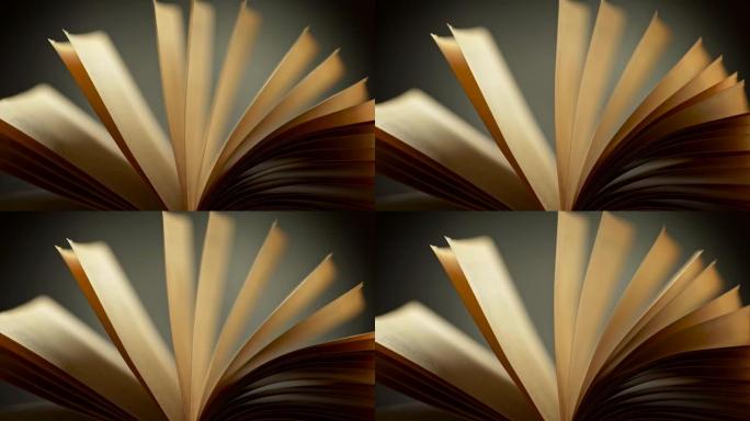 探索文学世界。黄色的老式旧开卷书在风中飘扬。黑色和灰色背景。慢动作镜头