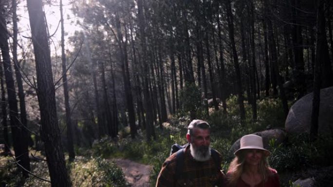 高加索高级夫妇在松树森林上徒步旅行