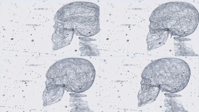 人头技术扫描生成流动骨骼