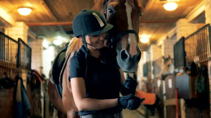 女骑手和马一起玩，特写。一个女人和一匹马站在一个特殊的马厩里玩耍。