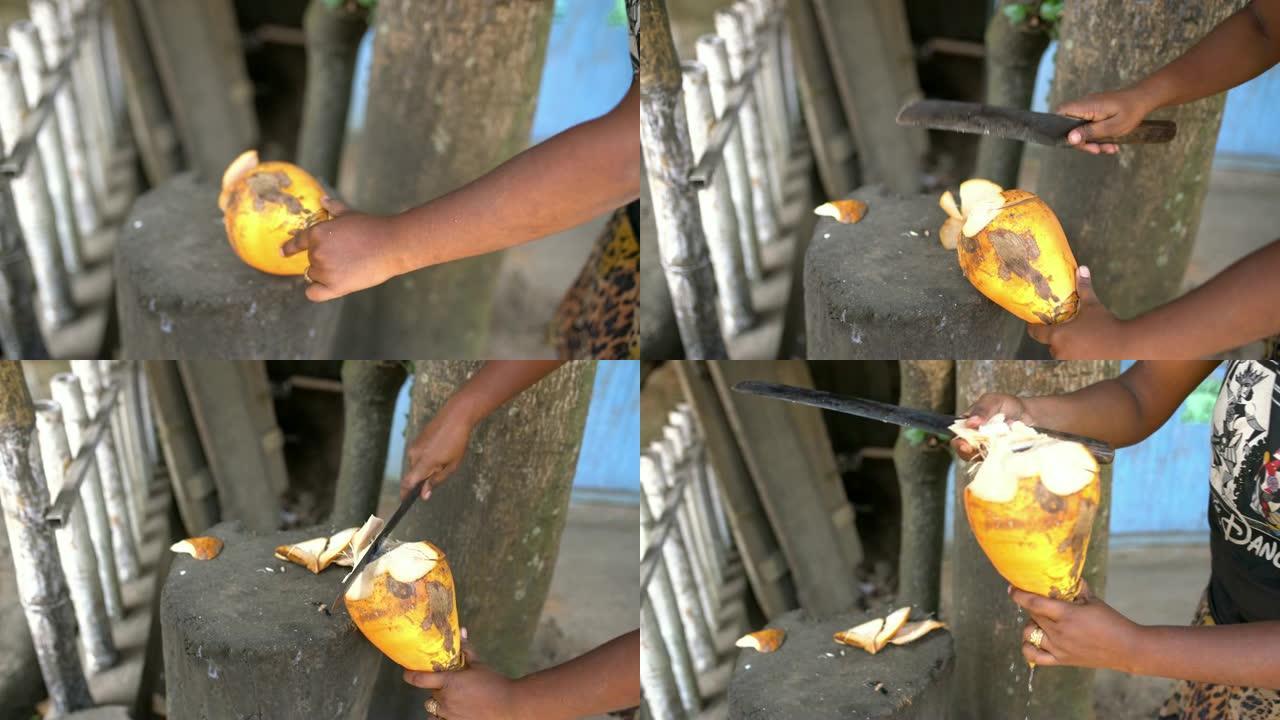 女士女士用斧头切椰子，供斯里兰卡游客使用