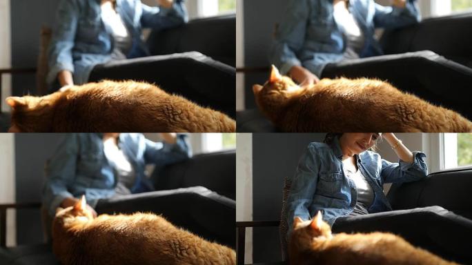 女人在家沙发上抚摸猫