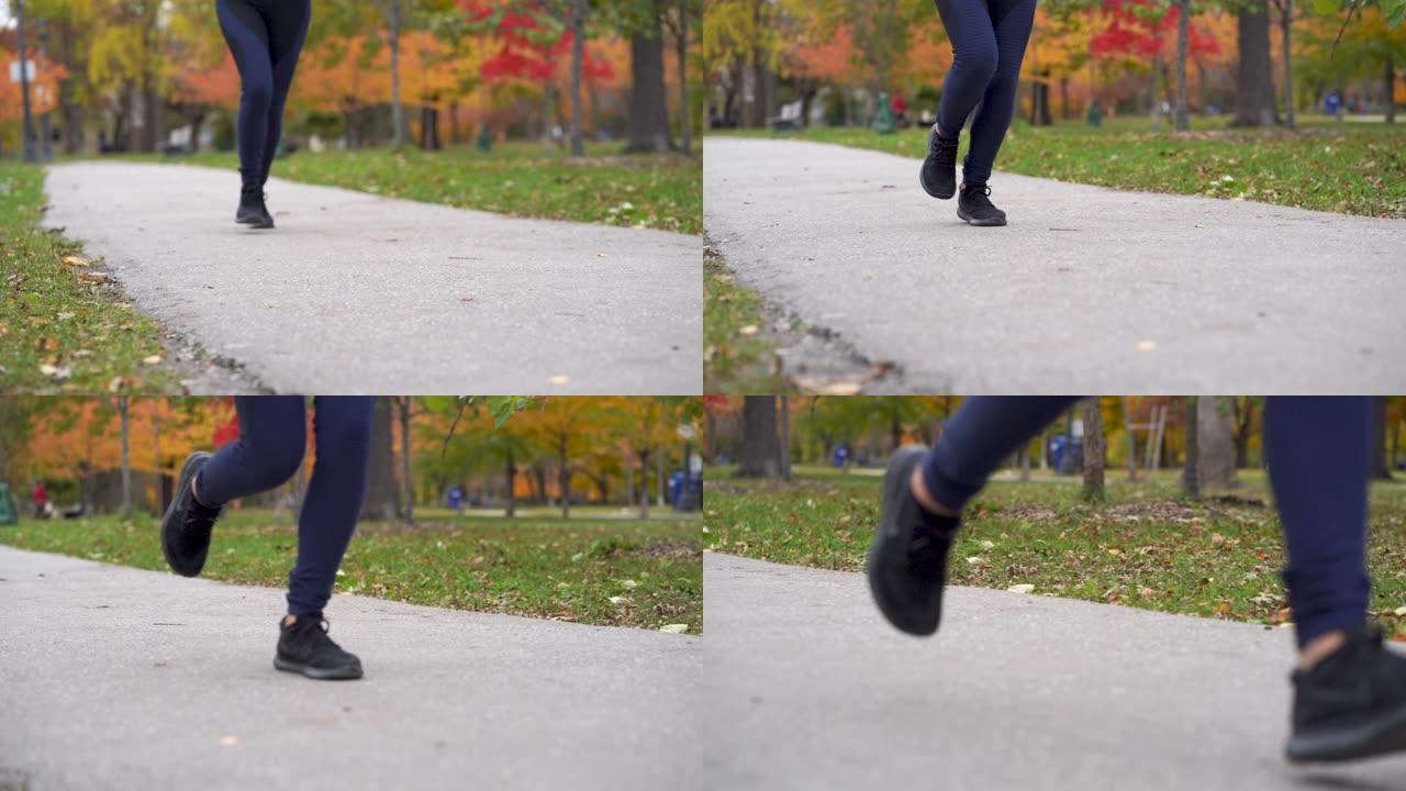 秋天穿过公园的脚的特写