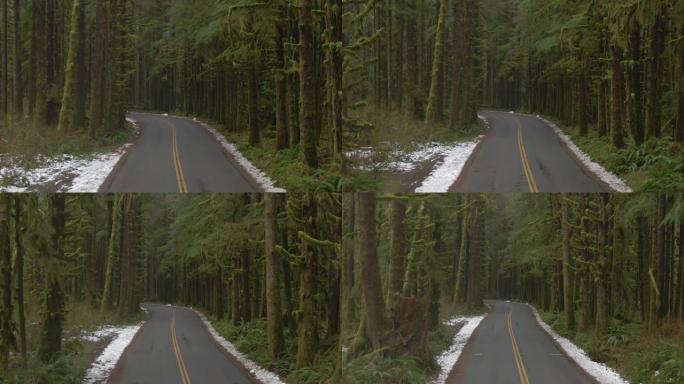 无人机: 在空旷的柏油路周围的老苔藓树的电影拍摄。