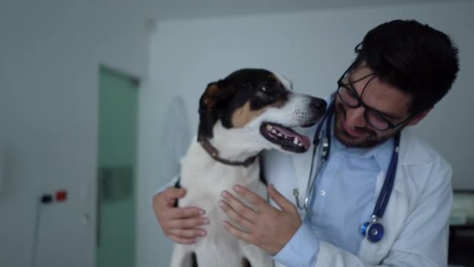 开朗的兽医在咨询后要求混合犬只亲吻脸颊