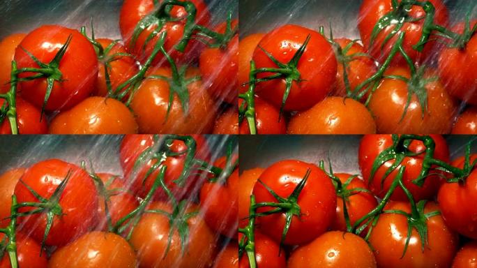 西红柿在水槽中洗净