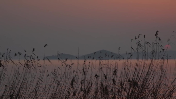 湖边落日小景太湖