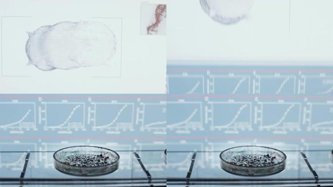 培养皿中的实验室样品特写。科学实验室。