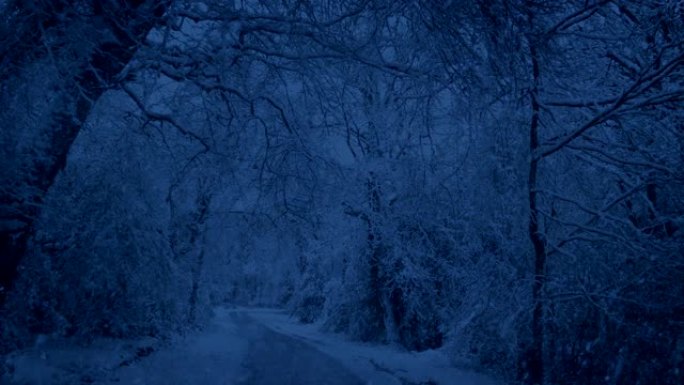 傍晚在公园路降雪