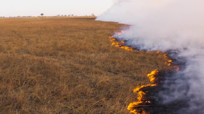 博茨瓦纳干旱和气候变化造成的奥卡万戈三角洲草地大火的特写空中飞行