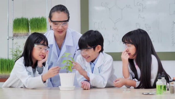 学校生物学实验。向孩子们解释生物学。如何使孩子感兴趣在生物学教室学习。孩子们种植并照顾，等待，观察组