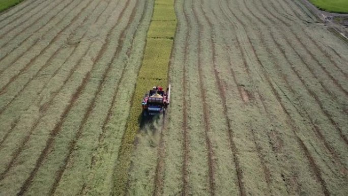 跟踪收割的航拍收割机器自动化收割农业机械