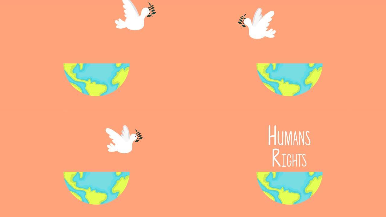 鸽子飞行的人权动画