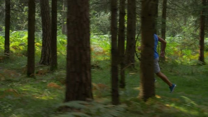 慢动作: 穿着蓝色背心的运动型男子在绿色森林中慢跑。