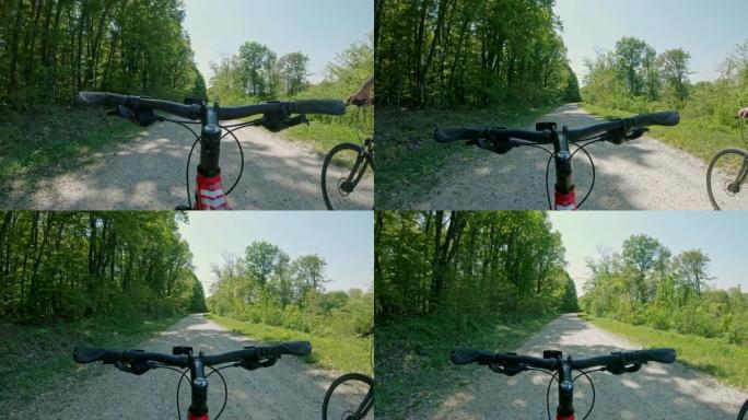 MS Personal Personal perspective山地自行车在树林中阳光明媚的砾石路上