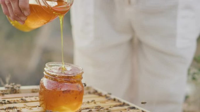 养蜂人在玻璃罐中收获金色蜂蜜
