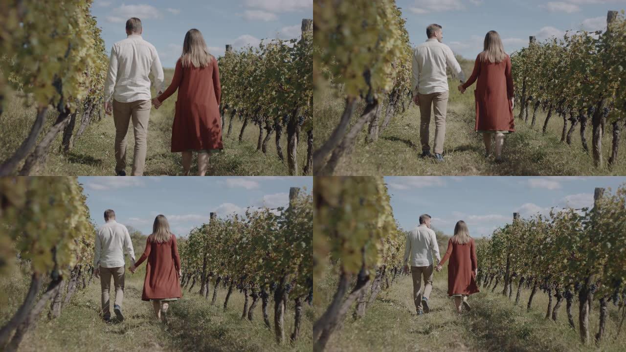 夫妇走过美丽的葡萄园