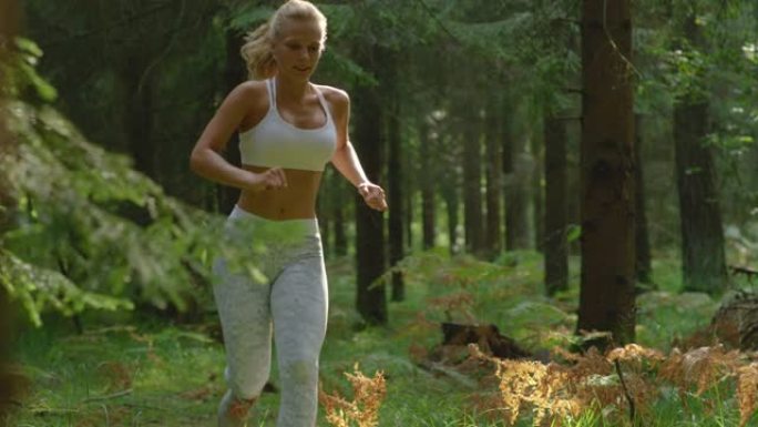 特写: 穿着运动胸罩和白色紧身裤的健康女孩在森林里慢跑。