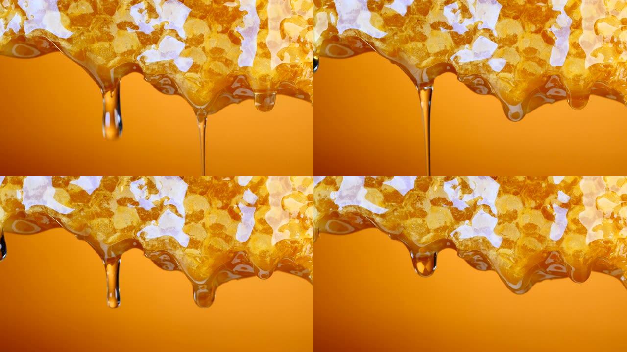 蜂巢中流出的蜂蜜食材特写展示植物油