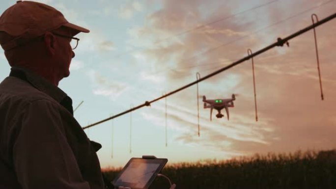 4k剪影日出视图，一名农民在大型蔬菜农场用无人机监视他的玉米作物