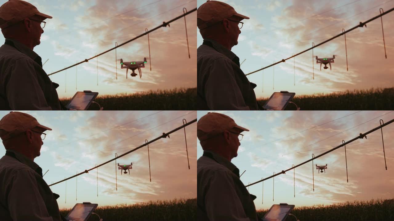 4k剪影日出视图，一名农民在大型蔬菜农场用无人机监视他的玉米作物