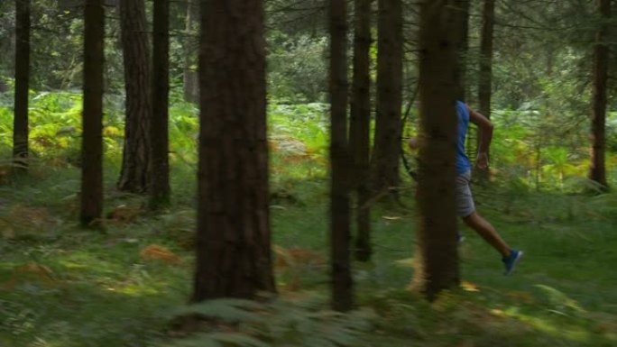男运动员在穿越宁静森林的越野跑比赛中冲刺。