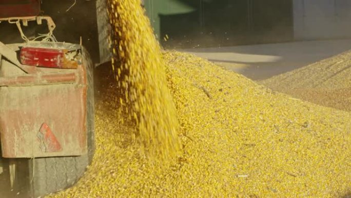 LS在农业储存设施中卸载玉米