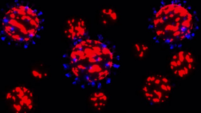 冠状病毒 (Covid 19) 在阿尔法RGB背景上流动，3d运动循环图形。抽象的看。