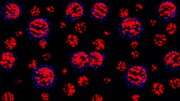 冠状病毒 (Covid 19) 在阿尔法RGB背景上流动，3d运动循环图形。抽象的看。