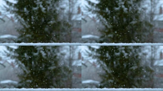 慢动作，dop: 从天而降的小雪花的电影镜头。