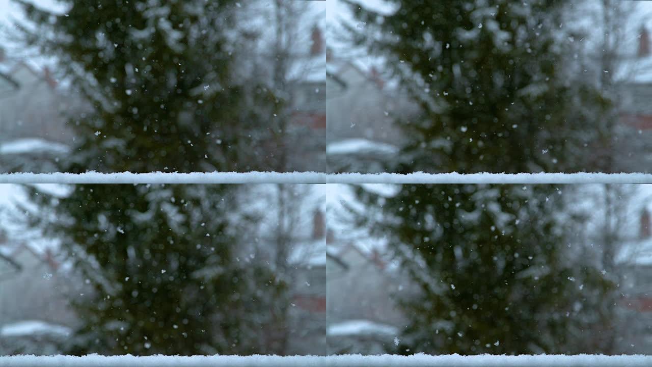 慢动作，dop: 从天而降的小雪花的电影镜头。