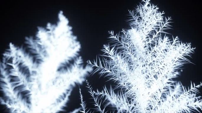 美丽的冰冻3d渲染。冰和霜的模式在孤立的黑色背景上散布在太空中。