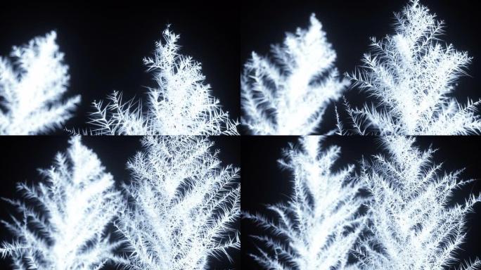 美丽的冰冻3d渲染。冰和霜的模式在孤立的黑色背景上散布在太空中。