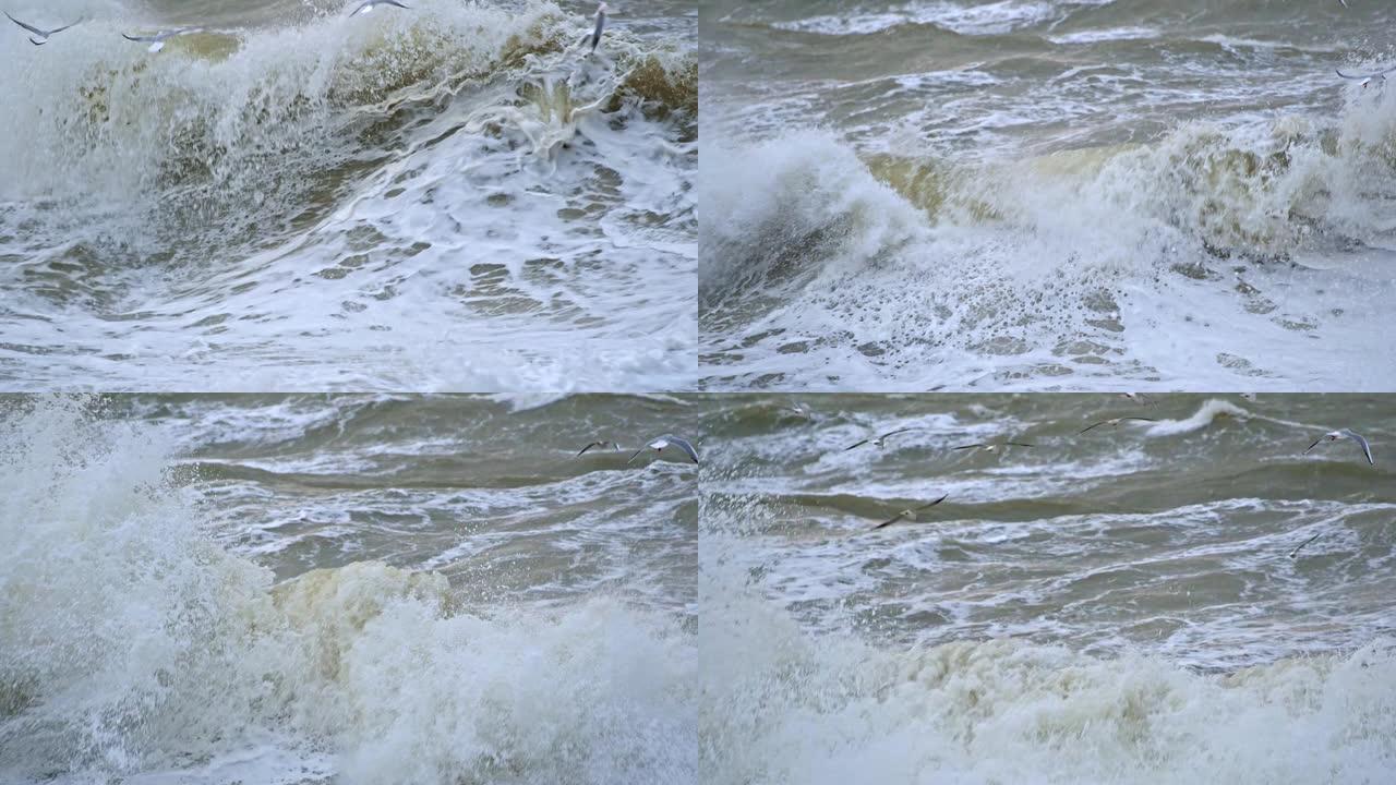 海鸥飞过水面寻找鱼吃。风暴期间，海浪飞溅到海岸。慢动作镜头