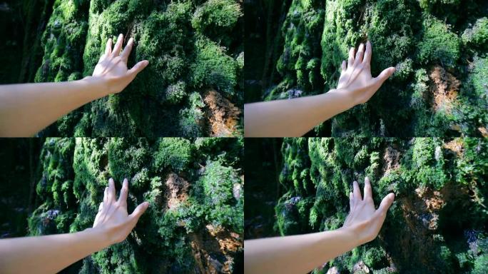 手触摸大自然中的岩石和苔藓