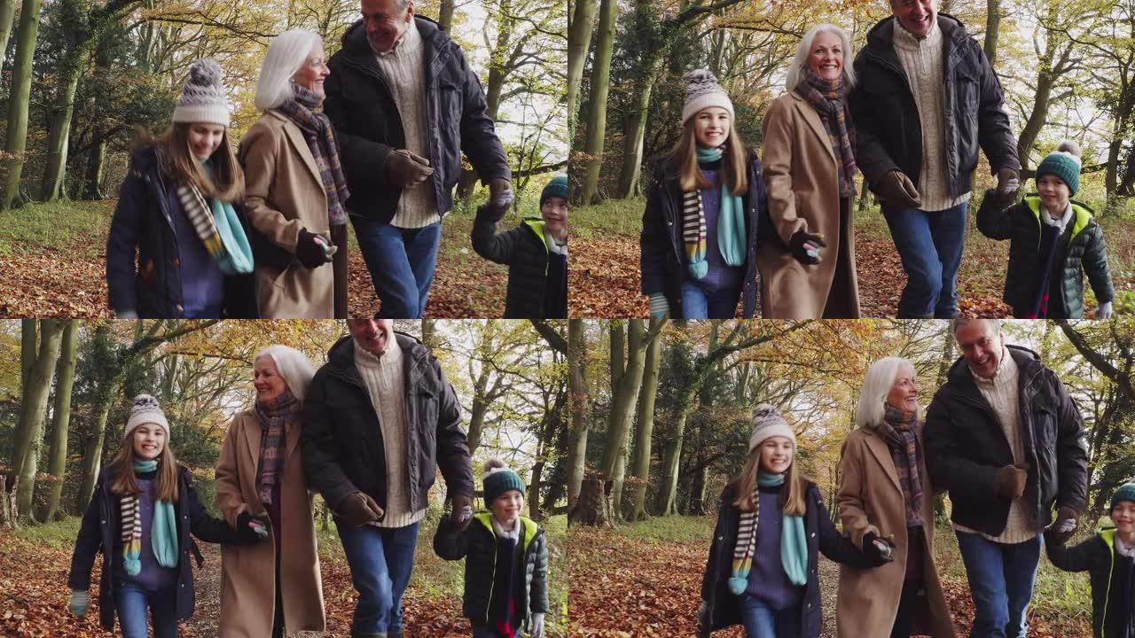 微笑的祖父母与孙子在秋天的乡村漫步
