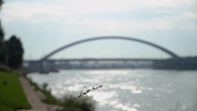 多瑙河视图，背景是斯洛伐克布拉迪斯拉发的阿波罗桥