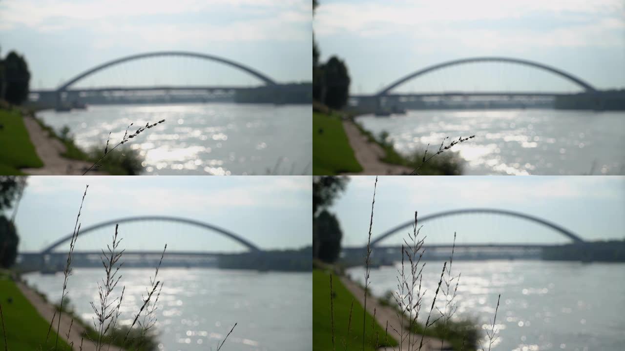 多瑙河视图，背景是斯洛伐克布拉迪斯拉发的阿波罗桥