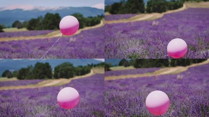 粉红色氦气球在薰衣草花上摆动