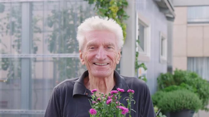 快乐的退休男人在花园里种花植物