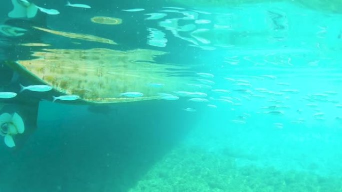 水下一群小鱼在绿松石海中游过一艘旧钢船