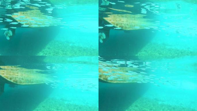水下一群小鱼在绿松石海中游过一艘旧钢船