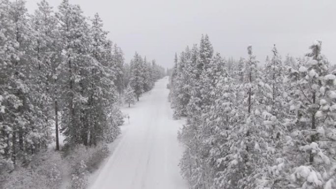 空中: 厚厚的新鲜积雪覆盖了穿越加拿大森林的道路。