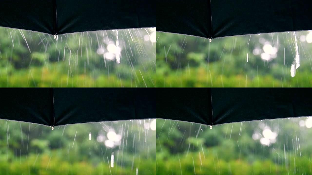 雨天气下的雨伞雨水