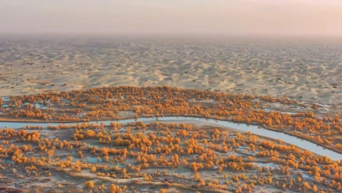 新疆鸟瞰图植树造林荒漠化互沙