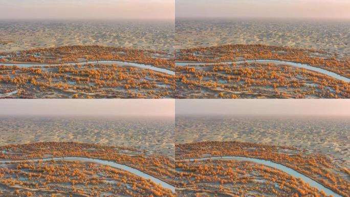 新疆鸟瞰图植树造林荒漠化互沙
